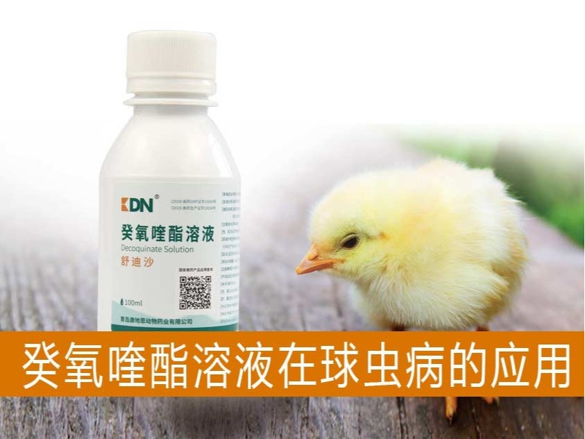 癸氧喹酯溶液在动物球虫病防治上的应用