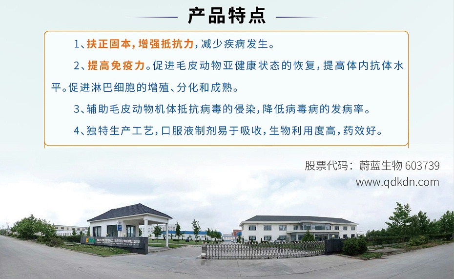 提高貂狐貉机体免疫黄芪多糖口服液青岛康地恩厂家批发3