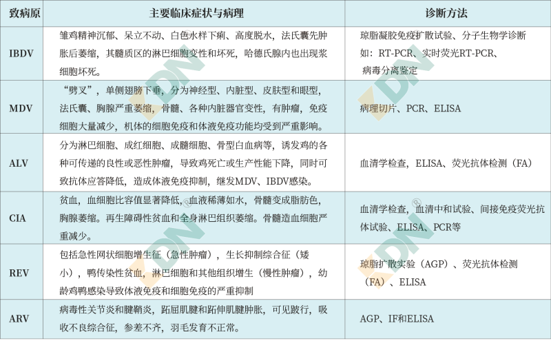 青岛康地恩-各种病毒的临床表现及诊断方法