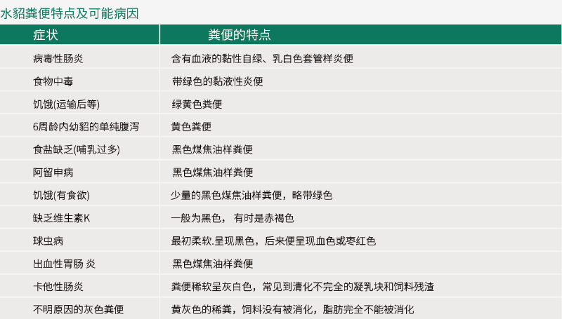 根据粪便颜色判新水貂健康状况【康地恩养貂】