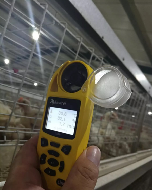 笼养鸡舍通风降温的纵向风速数据检测分析