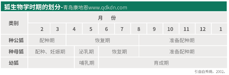 狐狸生物学时期怎么划分？【康地恩毛皮养殖】