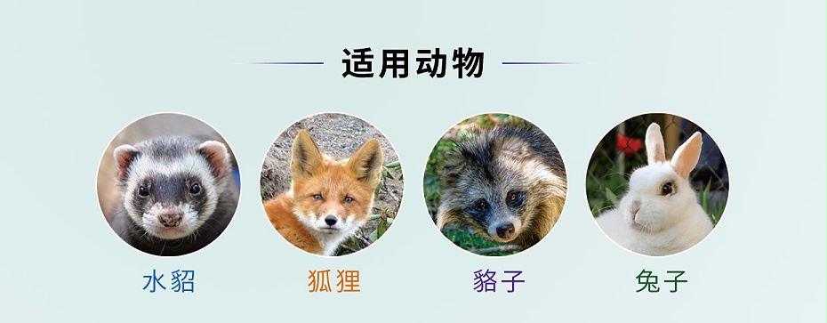 貂狐貉兔葡萄糖氧化酶青岛康地恩厂家批发1