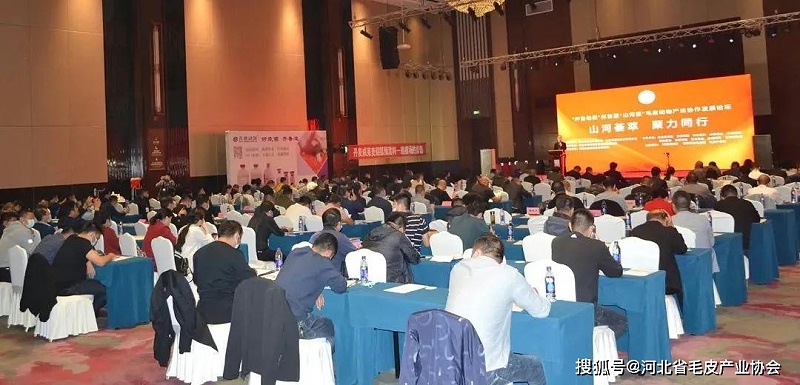 首届“山河荟”毛皮动物产业协作发展论坛在潍坊召开