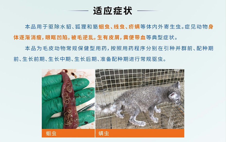 貂狐貉兔毛皮动物体内外寄生虫螨虫线虫介螨用药阿苯达唑伊维菌素青岛康地恩厂家批发2