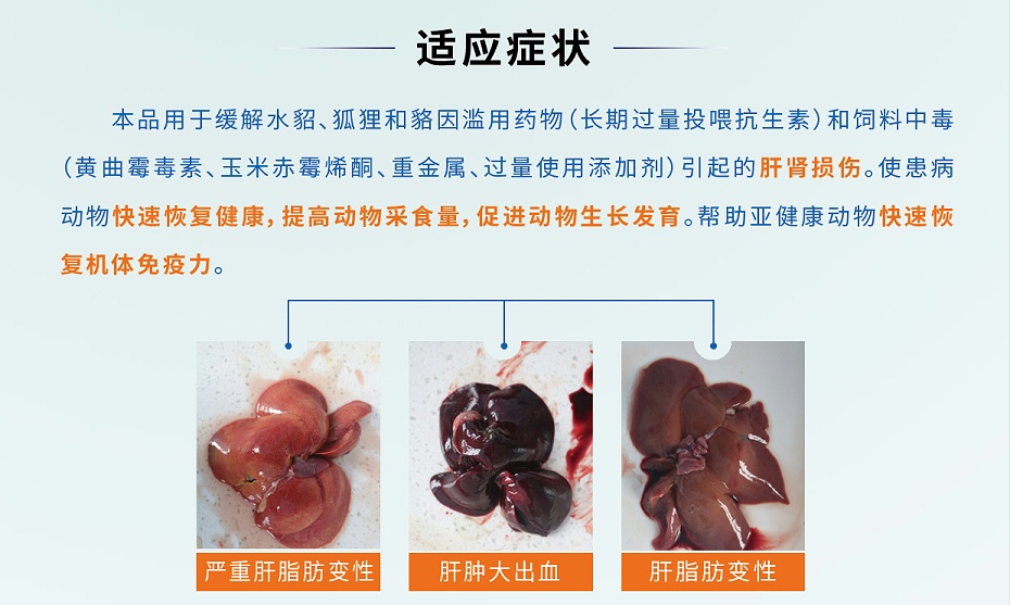 貂狐貉等毛皮动物抗应激保肝肾增免疫强心脏促吸收调菌群促生长制剂青岛康地恩厂家批发2