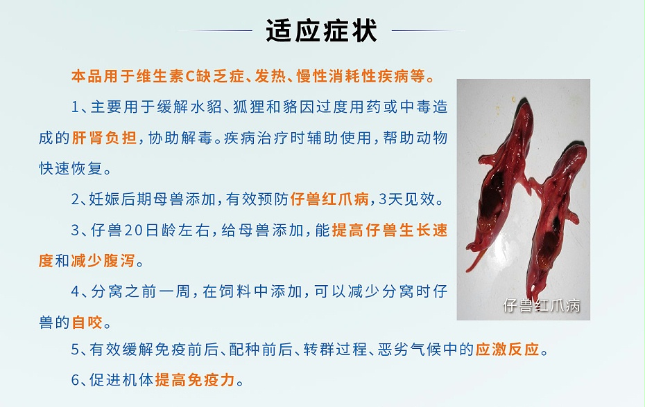 维生素C可溶性粉-预防仔兽红爪病，减少应激产品厂家批发-青岛康地恩2