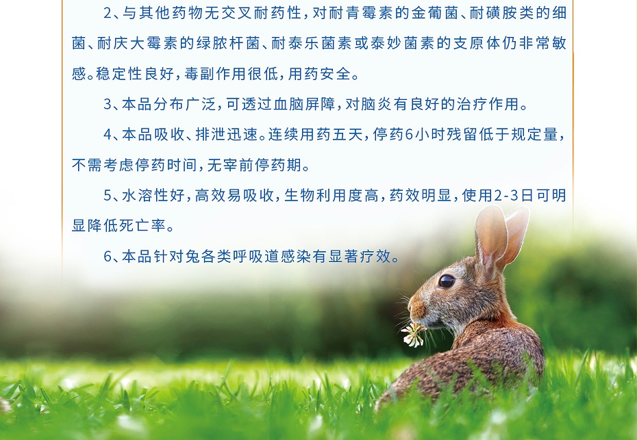 兔子呼吸道感染用药盐酸沙拉沙星可溶性粉青岛康地恩厂家批发2