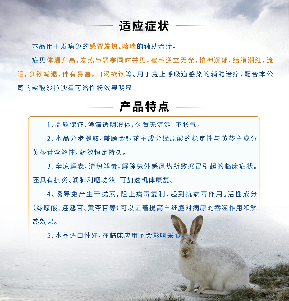 病兔感冒发热辅助治疗双黄连口服液青岛康地恩厂家批发