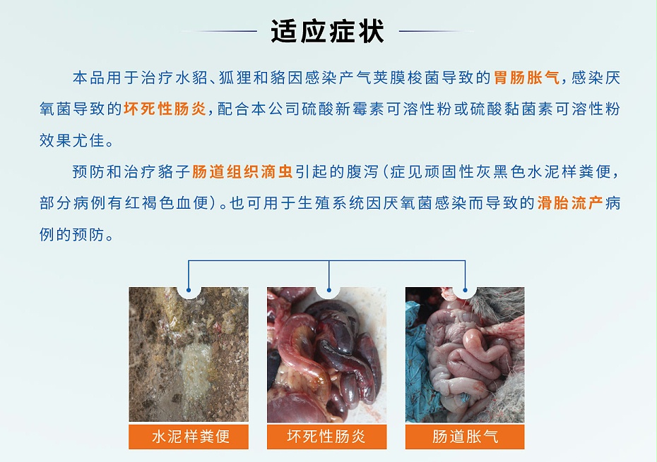 貂狐貉胃肠胀气滑胎流产滴虫腹泻用药地美硝唑厂家批发-青岛康地恩2