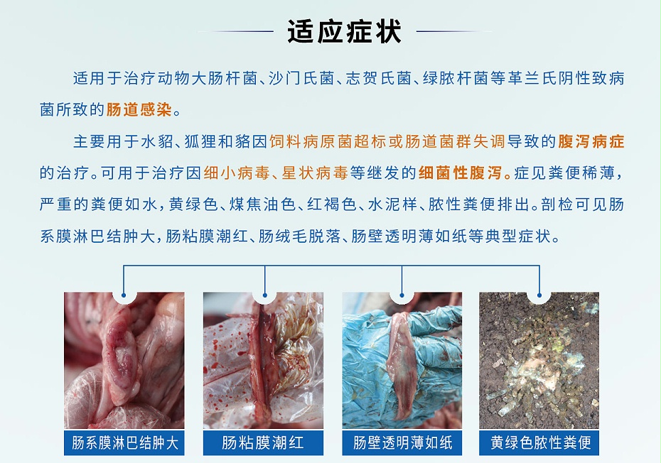 硫酸黏菌素可溶性粉-貂狐貉专用-青岛康地恩2