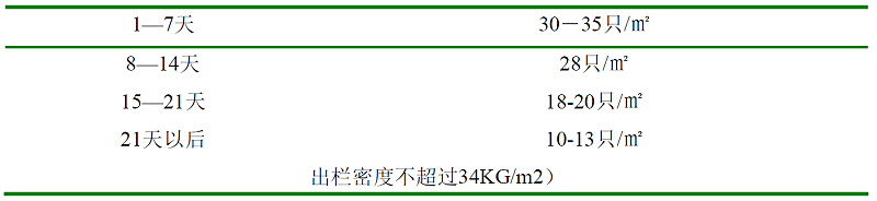 青岛康地恩白羽肉鸡育成期管理