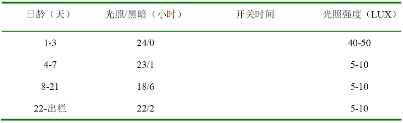 青岛康地恩白羽肉鸡育成期管理